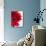 Red Gerbera-Dieter Heinemann-Photographic Print displayed on a wall