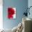 Red Gerbera-Dieter Heinemann-Mounted Photographic Print displayed on a wall