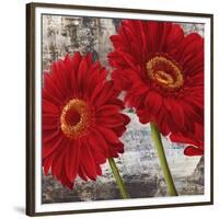 Red Gerberas I-Jenny Thomlinson-Framed Art Print