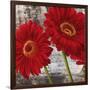 Red Gerberas I-Jenny Thomlinson-Framed Art Print