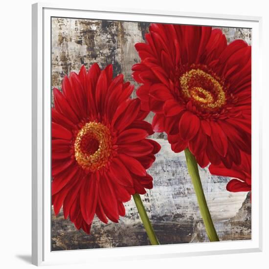 Red Gerberas I-Jenny Thomlinson-Framed Art Print