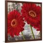 Red Gerberas I-Jenny Thomlinson-Framed Art Print