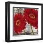 Red Gerberas I-Jenny Thomlinson-Framed Art Print