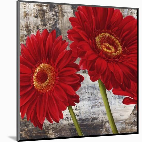 Red Gerberas I-Jenny Thomlinson-Mounted Art Print