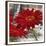 Red Gerberas II-Jenny Thomlinson-Framed Art Print