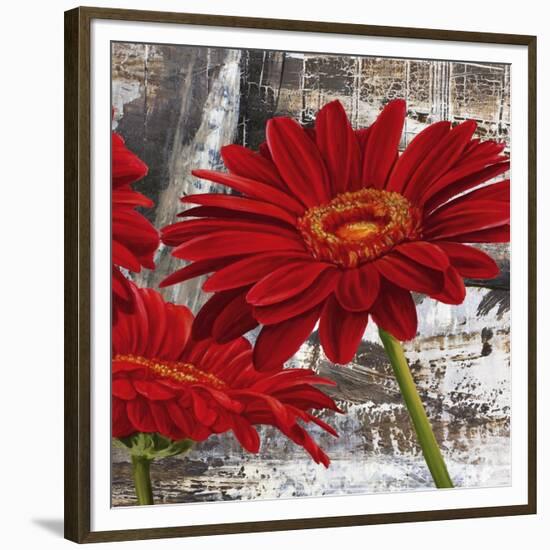 Red Gerberas II-Jenny Thomlinson-Framed Art Print