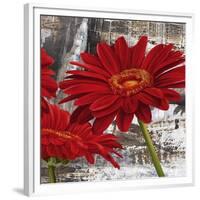 Red Gerberas II-Jenny Thomlinson-Framed Art Print