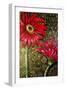 Red Gerberas-Cherie Roe Dirksen-Framed Giclee Print