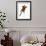 Red Giant Flying Squirrel-null-Framed Giclee Print displayed on a wall