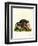 Red Giant Flying Squirrel-null-Framed Premium Giclee Print