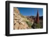 Red Giant Tajinaste - Mount Teide Blugloss (Echium Wildpretii) Flowers, Teide Np, Canary Islands-Relanzón-Framed Photographic Print