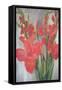 Red Gladioli-Margaret Norris-Framed Stretched Canvas