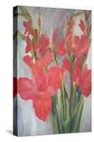 Red Gladioli-Margaret Norris-Stretched Canvas