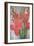 Red Gladioli-Margaret Norris-Framed Giclee Print