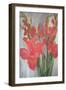 Red Gladioli-Margaret Norris-Framed Giclee Print
