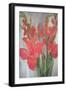 Red Gladioli-Margaret Norris-Framed Giclee Print