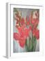 Red Gladioli-Margaret Norris-Framed Giclee Print