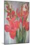 Red Gladioli-Margaret Norris-Mounted Giclee Print