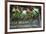 Red Globe Grapes at a Vineyard, San Joaquin Valley, California, Usa-Yadid Levy-Framed Photographic Print