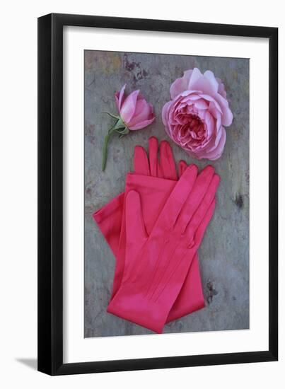 Red Gloves and Rose-Den Reader-Framed Photographic Print