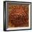 Red Gold Hawaiian Sea Salt-Steve Gadomski-Framed Photographic Print