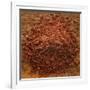 Red Gold Hawaiian Sea Salt-Steve Gadomski-Framed Photographic Print