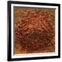 Red Gold Hawaiian Sea Salt-Steve Gadomski-Framed Photographic Print