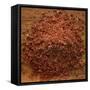 Red Gold Hawaiian Sea Salt-Steve Gadomski-Framed Stretched Canvas