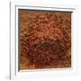 Red Gold Hawaiian Sea Salt-Steve Gadomski-Framed Photographic Print