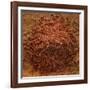 Red Gold Hawaiian Sea Salt-Steve Gadomski-Framed Photographic Print