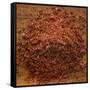 Red Gold Hawaiian Sea Salt-Steve Gadomski-Framed Stretched Canvas