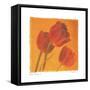 Red & Gold I-Amy Melious-Framed Stretched Canvas