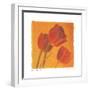 Red & Gold I-Amy Melious-Framed Art Print