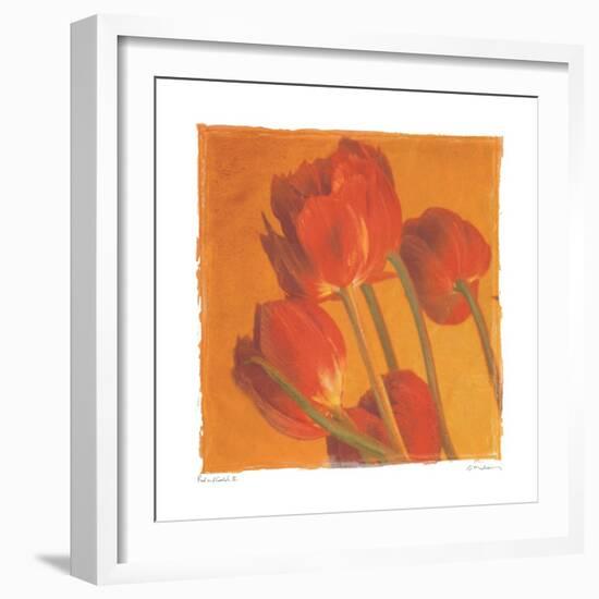 Red & Gold II-Amy Melious-Framed Art Print