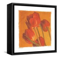 Red & Gold II-Amy Melious-Framed Stretched Canvas