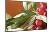 Red Grapes with Olive Branch in Bowl-Foodcollection-Mounted Photographic Print