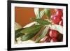 Red Grapes with Olive Branch in Bowl-Foodcollection-Framed Photographic Print