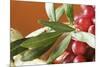 Red Grapes with Olive Branch in Bowl-Foodcollection-Mounted Photographic Print