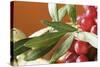 Red Grapes with Olive Branch in Bowl-Foodcollection-Stretched Canvas