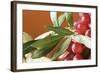 Red Grapes with Olive Branch in Bowl-Foodcollection-Framed Photographic Print