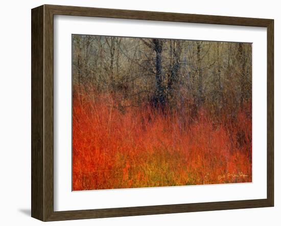 Red Grass II-Chris Vest-Framed Art Print