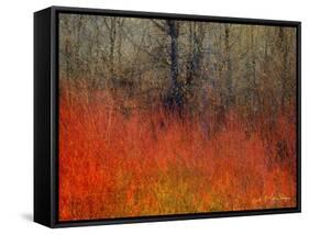Red Grass II-Chris Vest-Framed Stretched Canvas