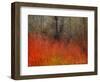 Red Grass II-Chris Vest-Framed Art Print