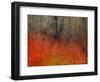 Red Grass II-Chris Vest-Framed Art Print