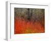 Red Grass II-Chris Vest-Framed Art Print