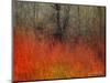 Red Grass II-Chris Vest-Mounted Art Print