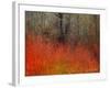 Red Grass II-Chris Vest-Framed Art Print