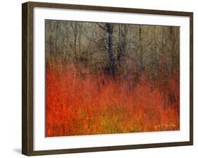 Red Grass II-Chris Vest-Framed Art Print