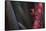Red Grey Interplay II-Rita Crane-Framed Stretched Canvas