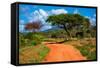Red Ground Road and Bush with Savanna Landscape in Africa. Tsavo West, Kenya.-Michal Bednarek-Framed Stretched Canvas